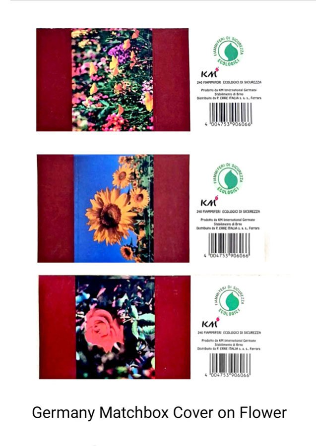 flores6