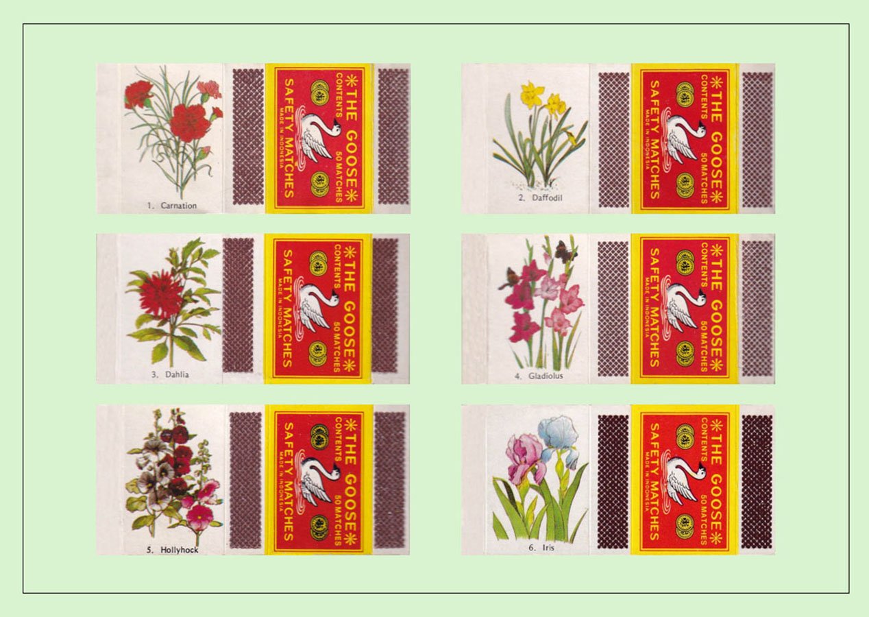 indonesia10
