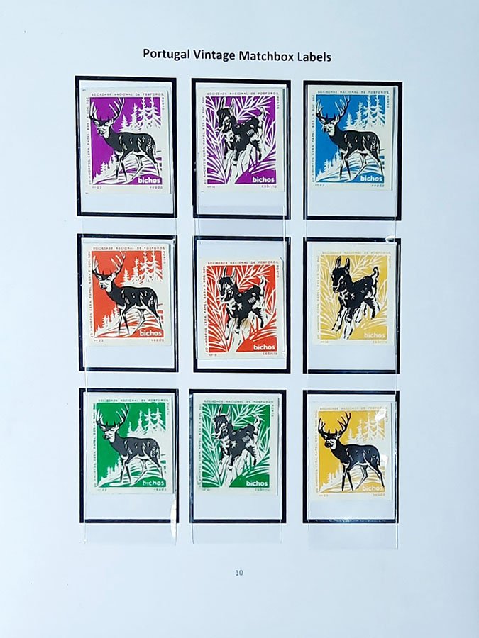deer10