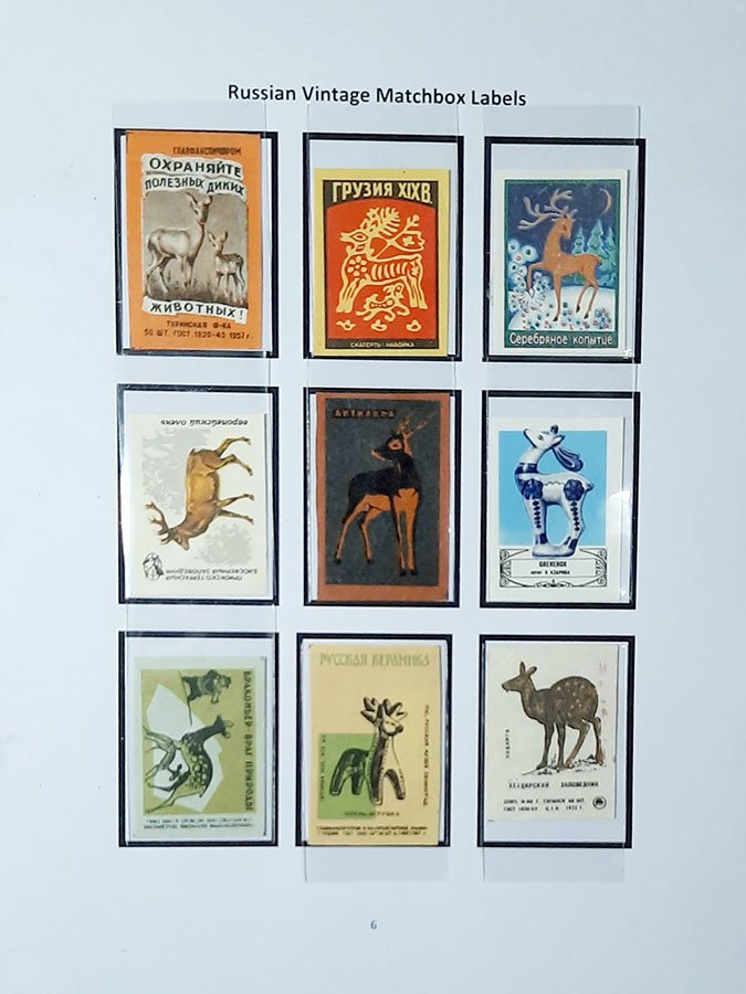 deer6