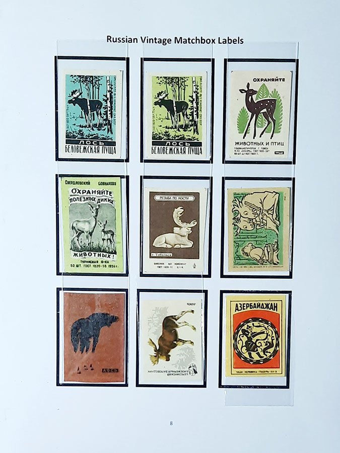 deer8