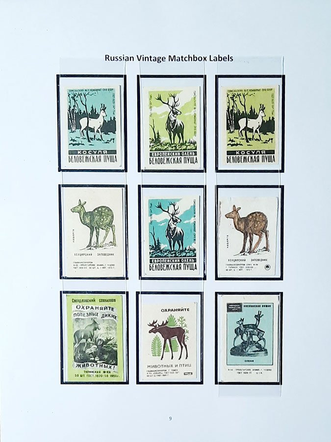 deer9