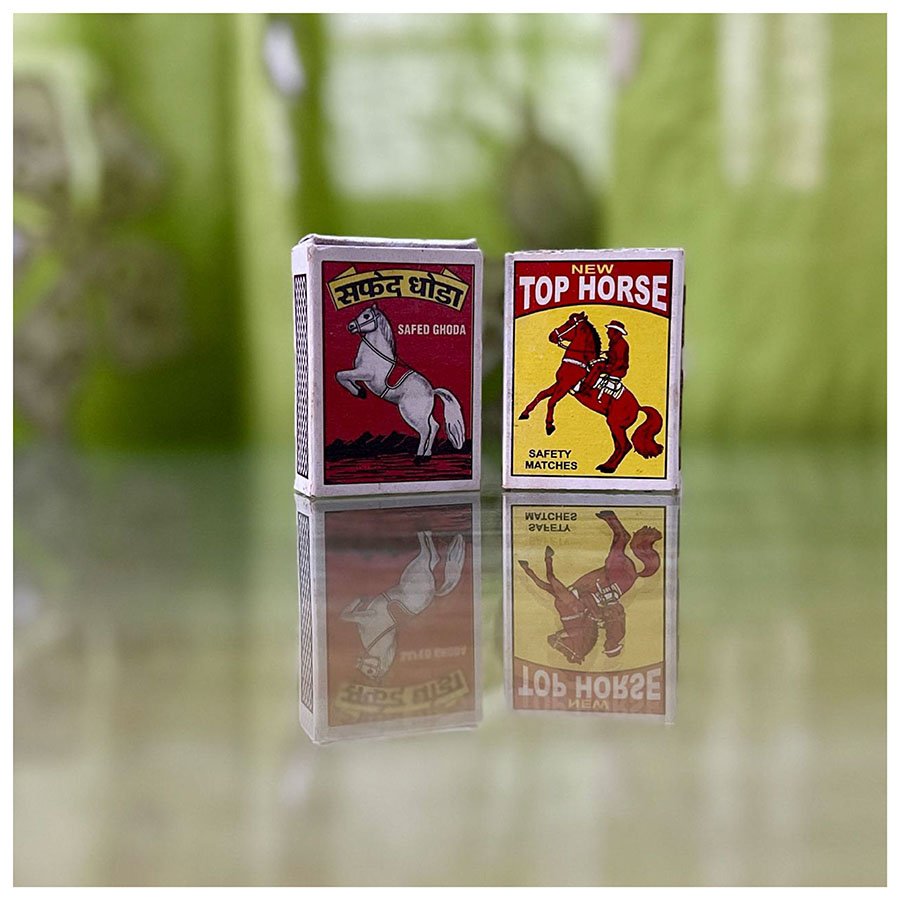 horses3