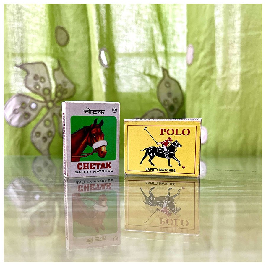 horses5