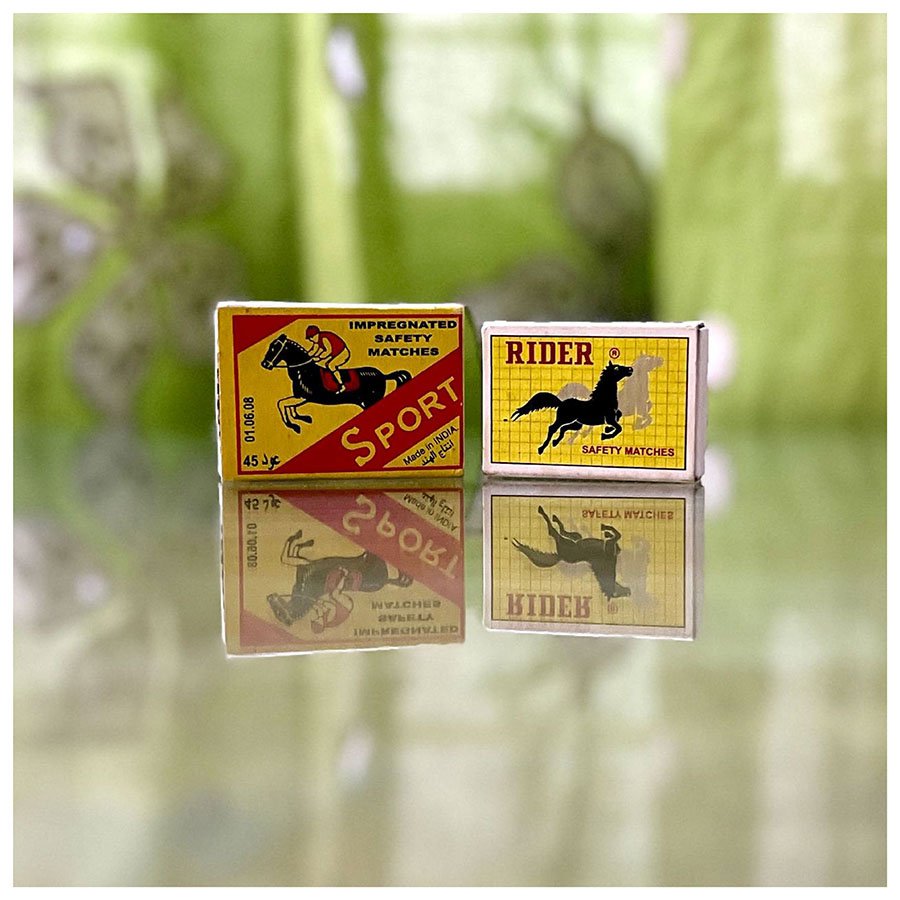 horses7