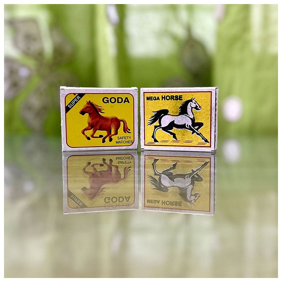 horses8